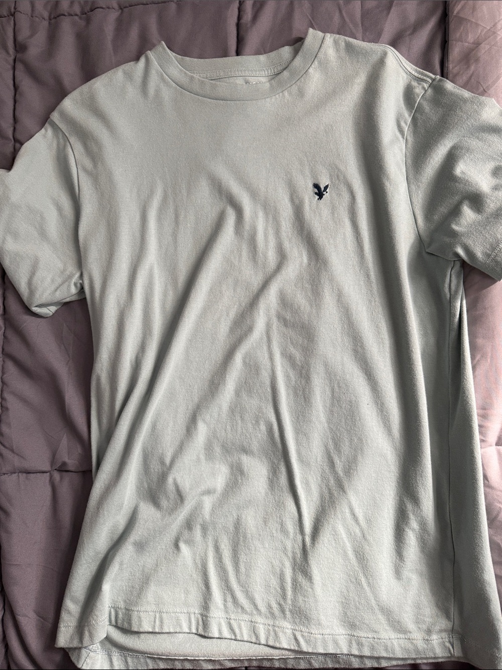 American Eagle Outfitters Light Sage Crew Neck Tee with Navy Eagle Logo